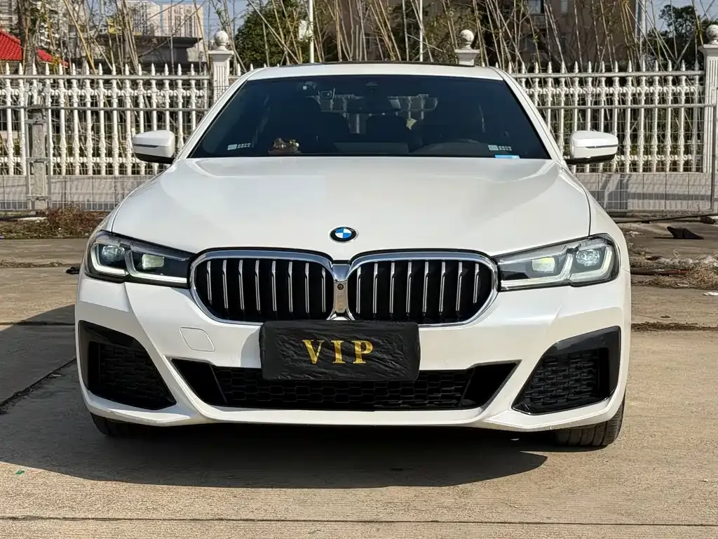 BMW 5 Series 2022 из CN, фото 8
