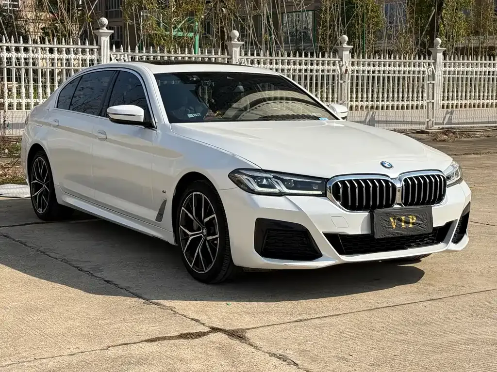 BMW 5 Series 2022 из CN, фото 9