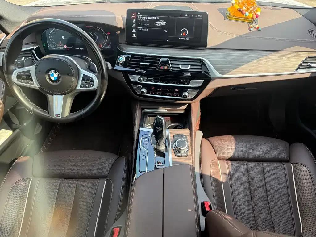 BMW 5 Series 2022 из CN, фото 7