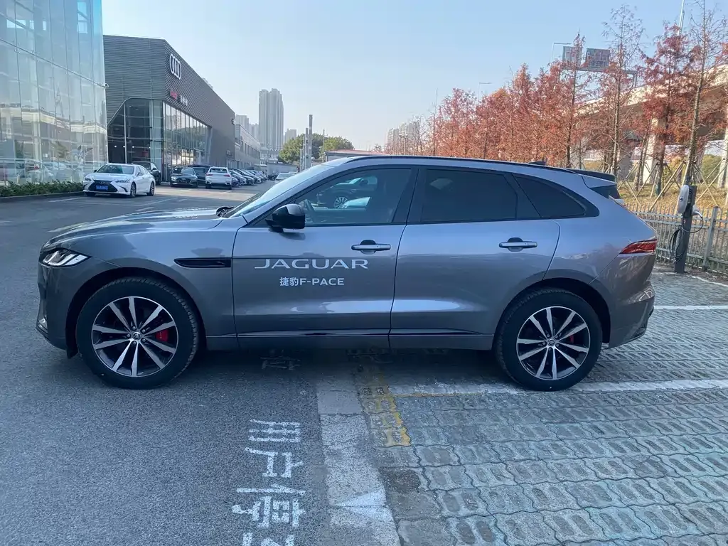 Jaguar F-PACE — фото 9