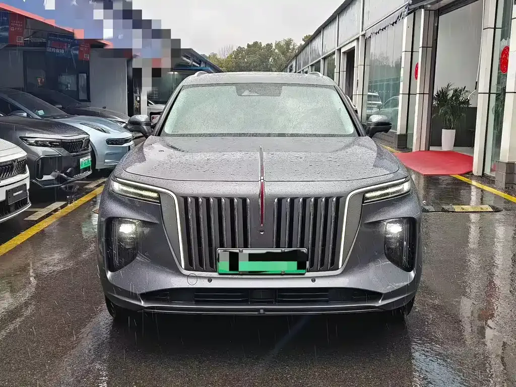 Hongqi E-HS9 2022 из CN, фото 1