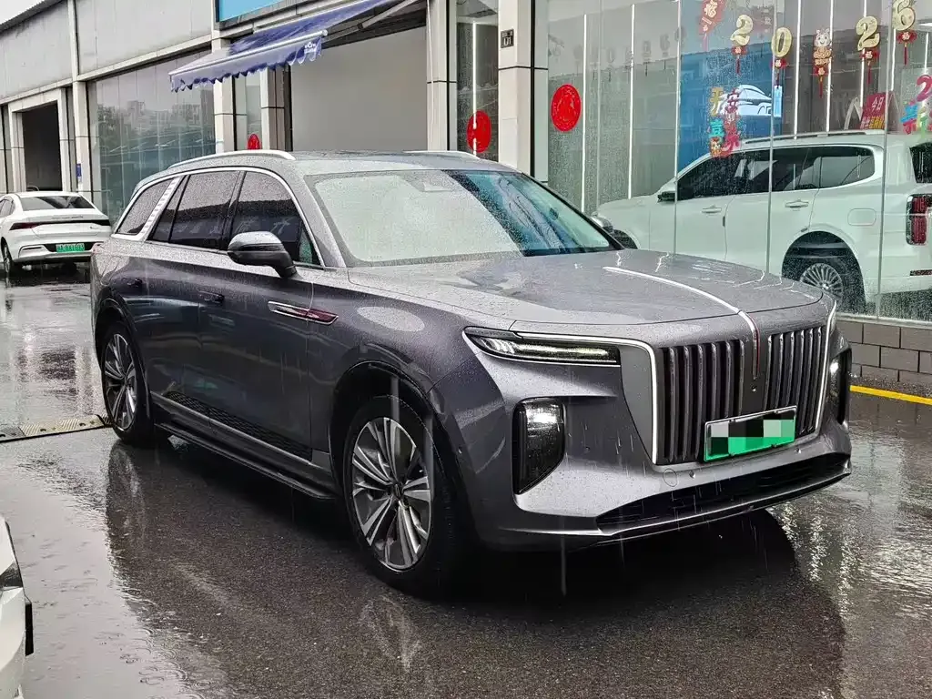 Hongqi E-HS9 2022 из CN, фото 9