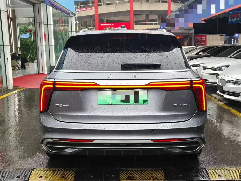 Hongqi E-HS9 2022 из CN, фото 5