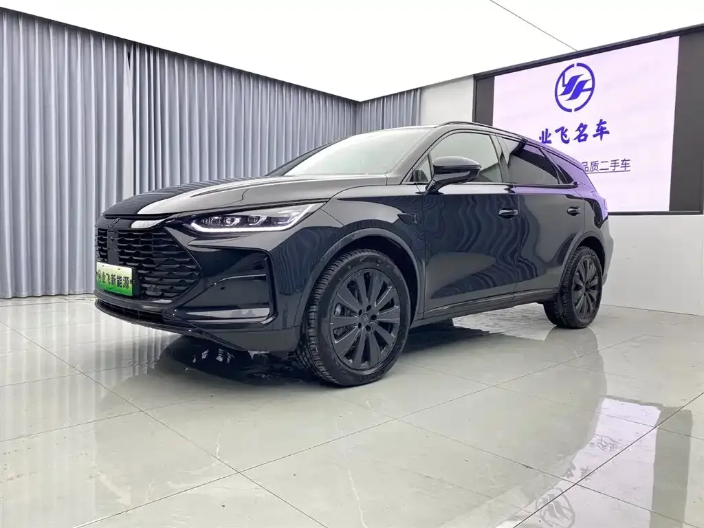 BYD Tang New Energy — фото 1