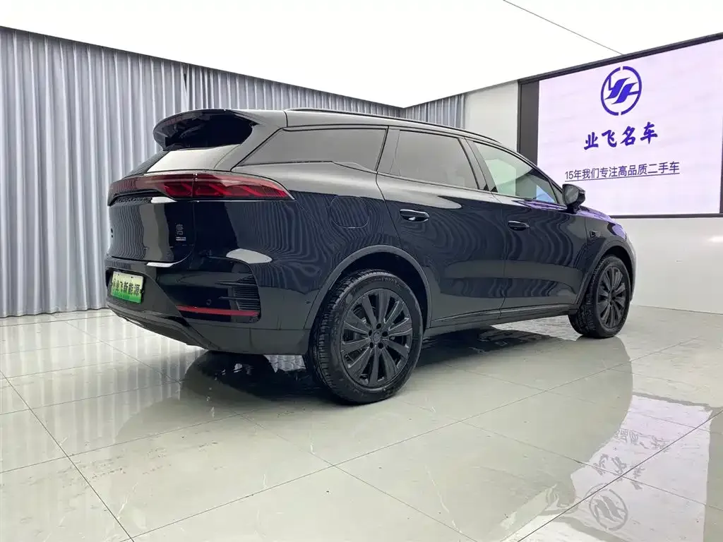 BYD Tang New Energy — фото 10