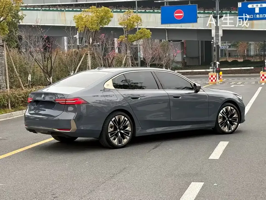 BMW 5 Series 2024 из CN, фото 10