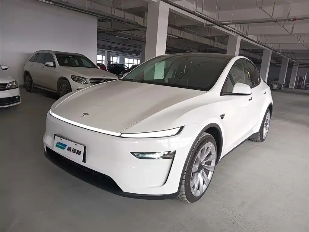 Tesla Model Y — фото 1