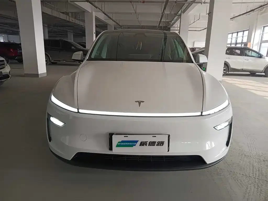Tesla Model Y — фото 2