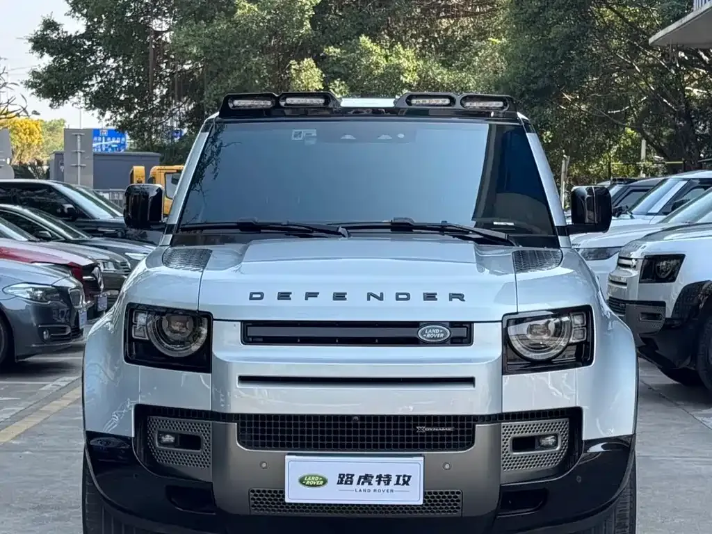 Land Rover Defender 2022 из CN, фото 4