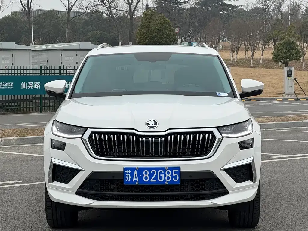Skoda Kodiaq — фото 7