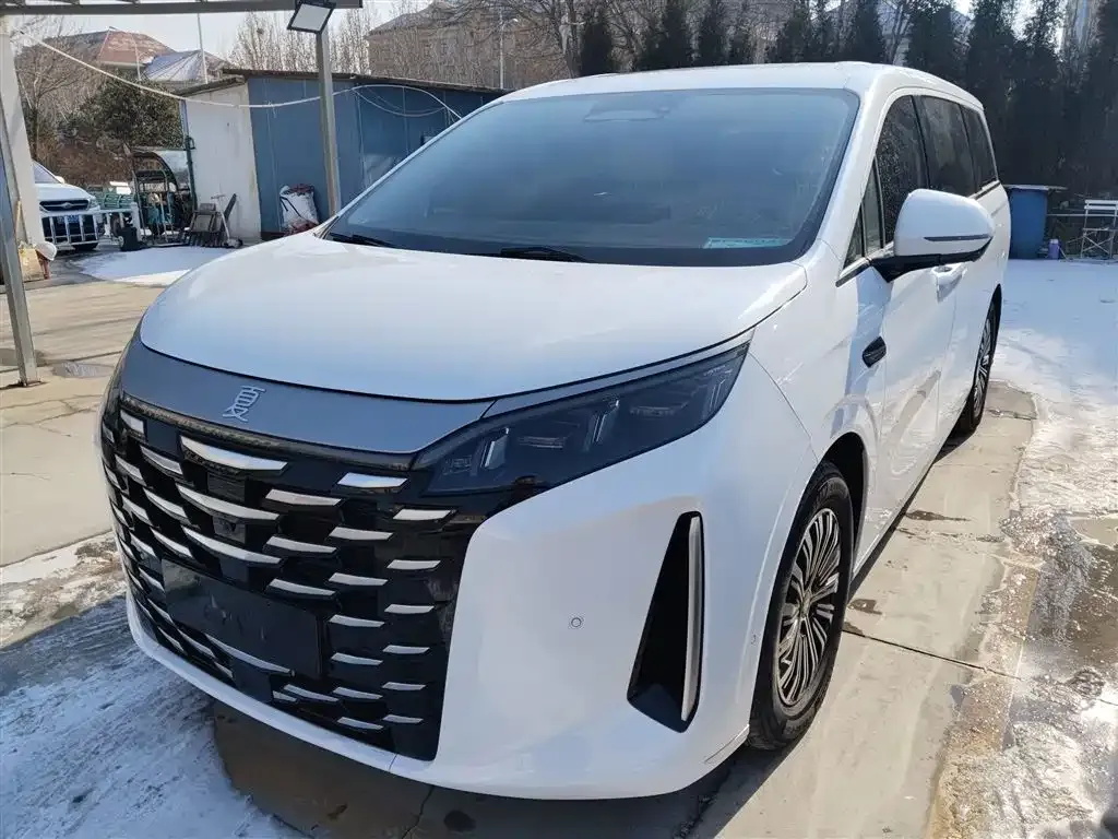 BYD Xia 2025 из CN, фото 1