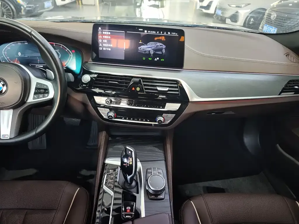 BMW 5 Series 2021 из CN, фото 3