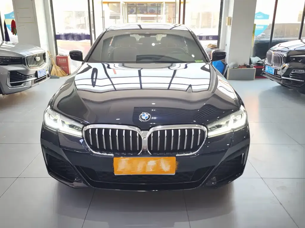 BMW 5 Series 2021 из CN, фото 2
