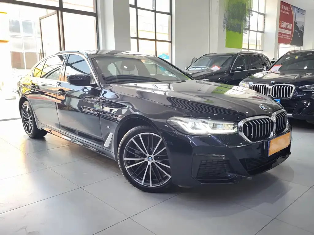 BMW 5 Series 2021 из CN, фото 6