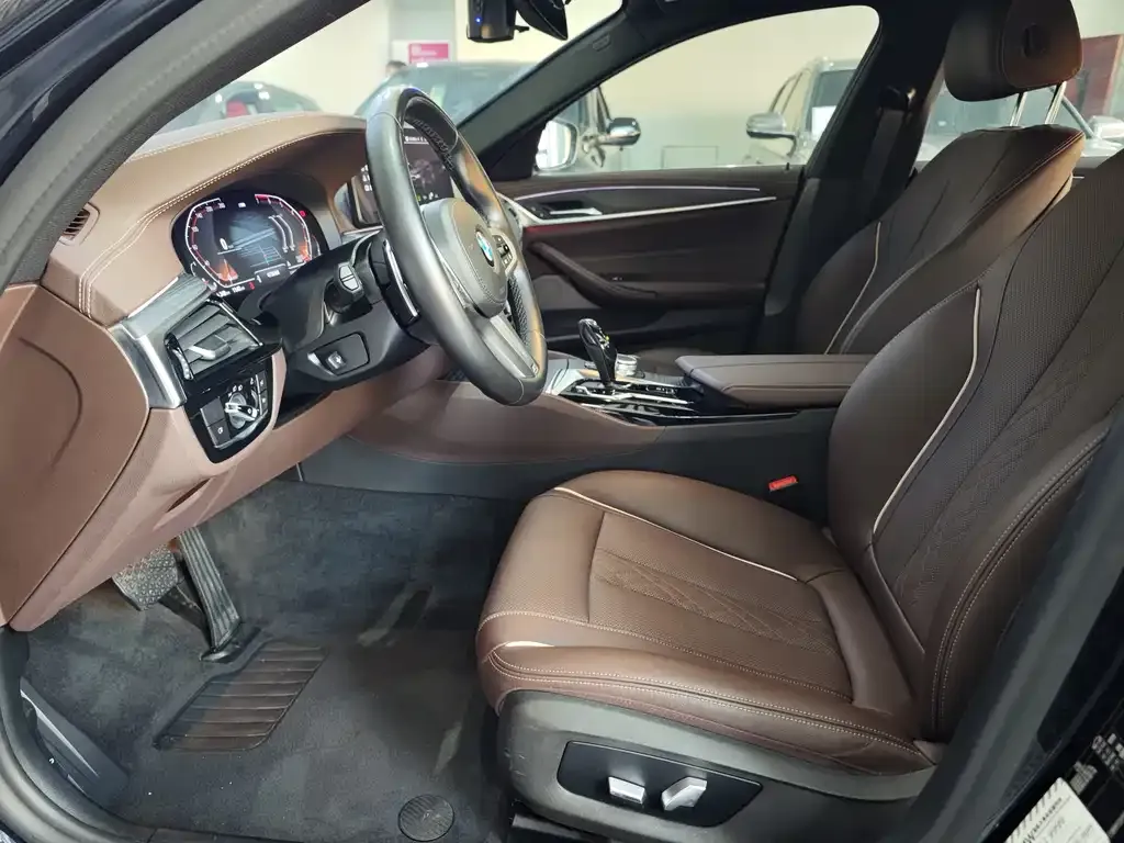 BMW 5 Series 2021 из CN, фото 9