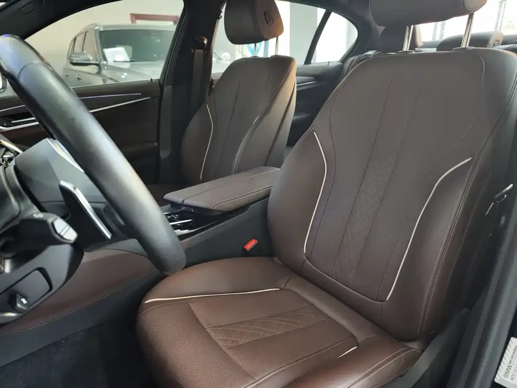 BMW 5 Series 2021 из CN, фото 4