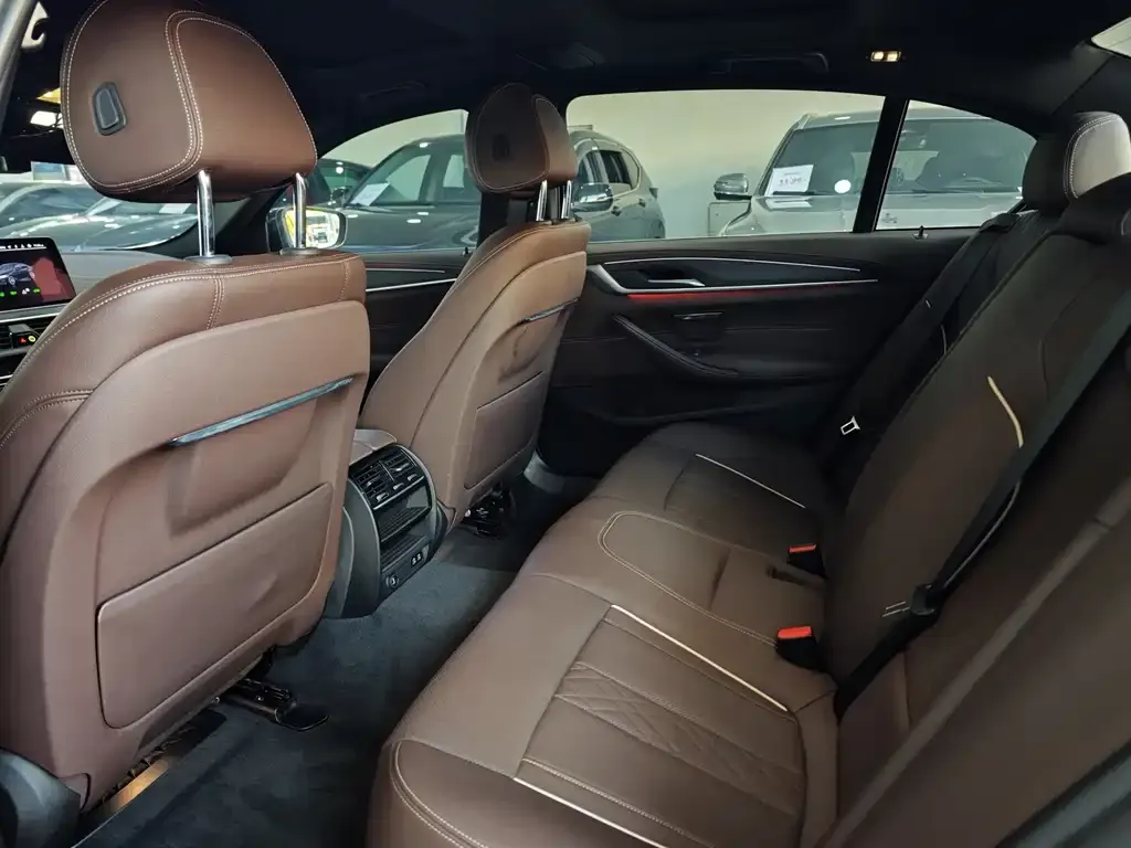 BMW 5 Series 2021 из CN, фото 8
