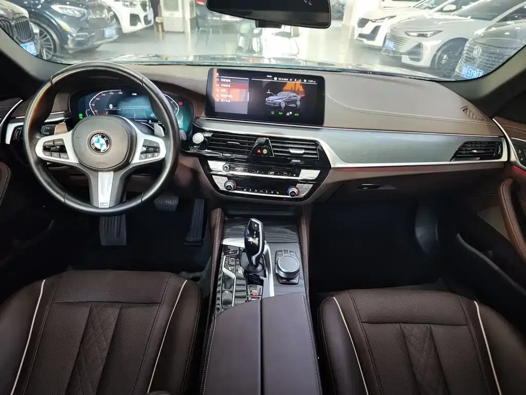 BMW 5 Series 2021 из CN, фото 10