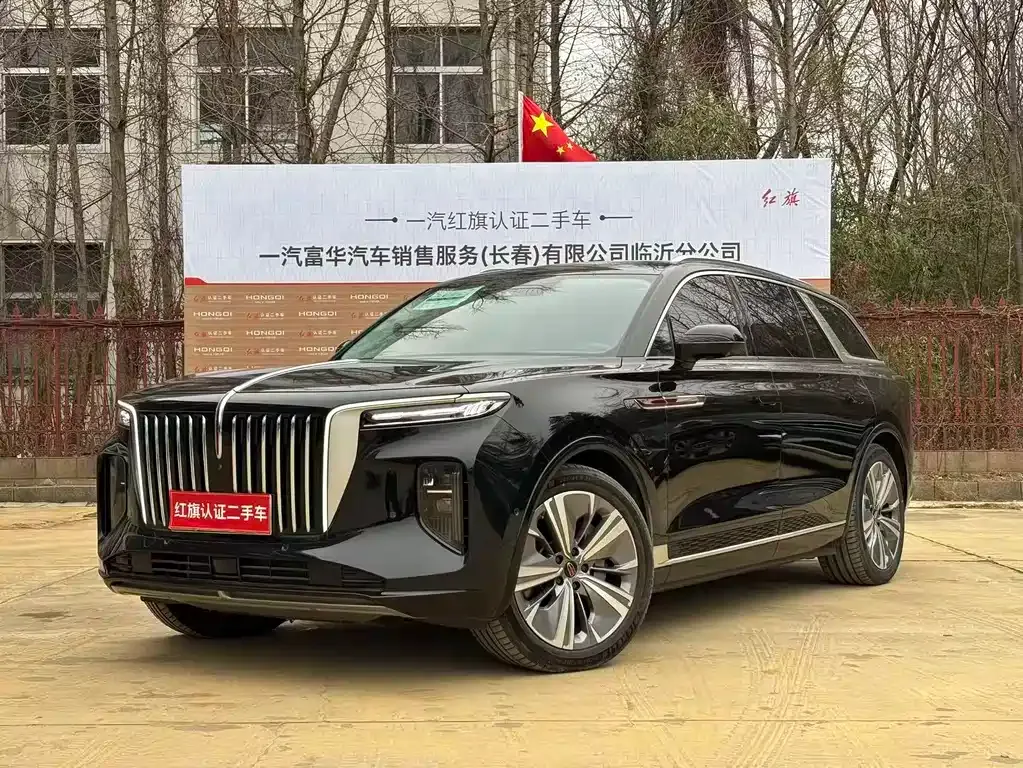 Hongqi E-HS9 2023 из CN, фото 1