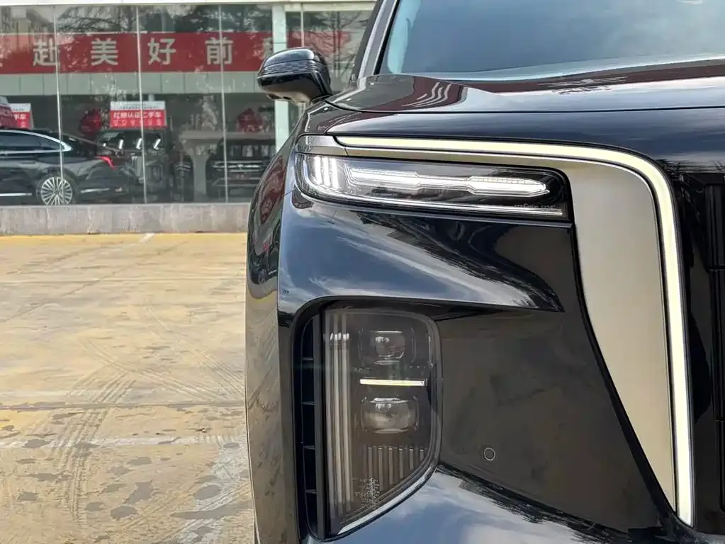 Hongqi E-HS9 2023 из CN, фото 5