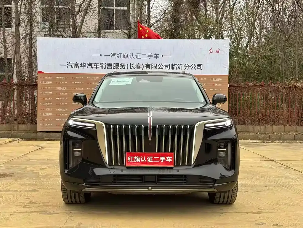 Hongqi E-HS9 2023 из CN, фото 2