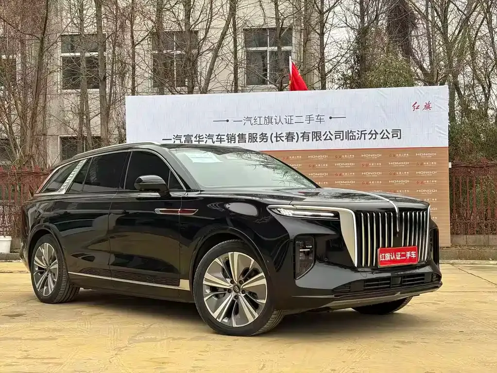 Hongqi E-HS9 2023 из CN, фото 10