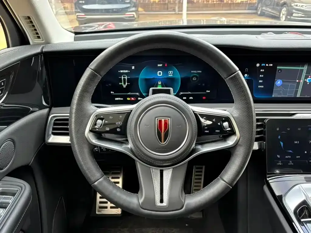 Hongqi E-HS9 2023 из CN, фото 8