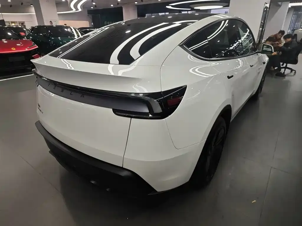 Tesla Model Y 2025 из CN, фото 6