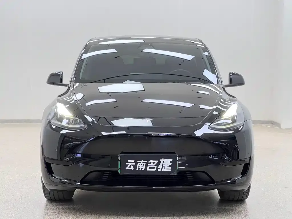 Tesla Model Y — фото 5