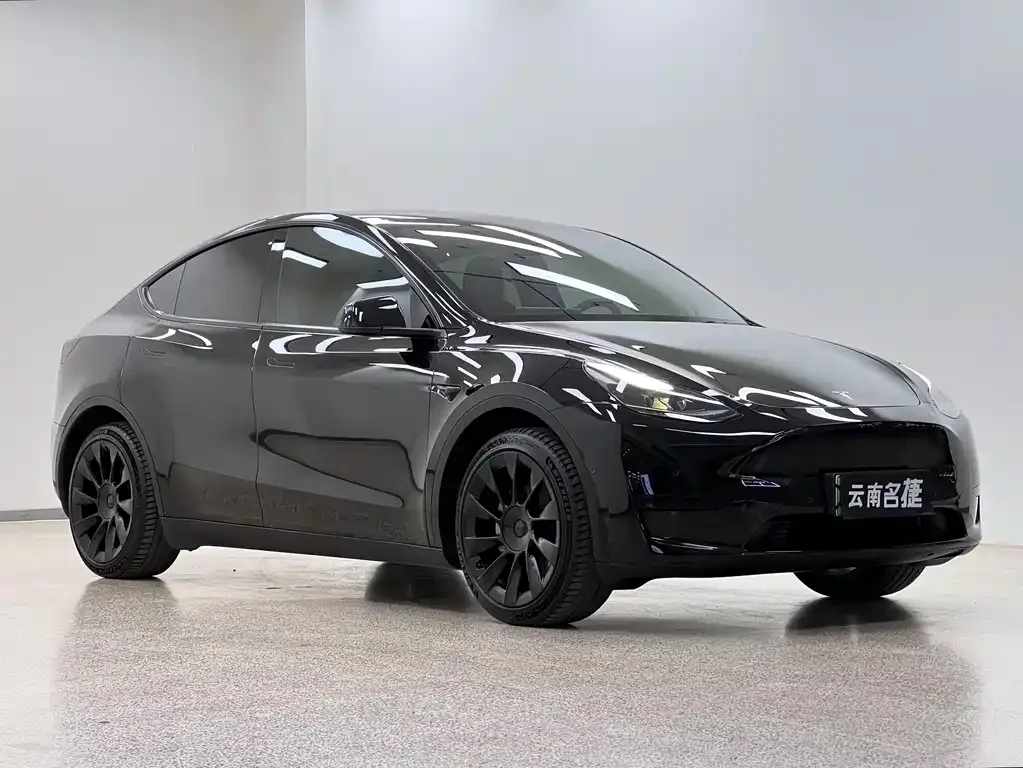 Tesla Model Y — фото 9