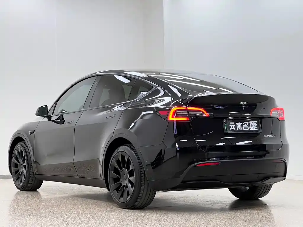 Tesla Model Y — фото 10