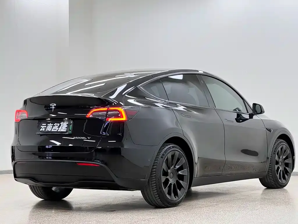 Tesla Model Y — фото 4