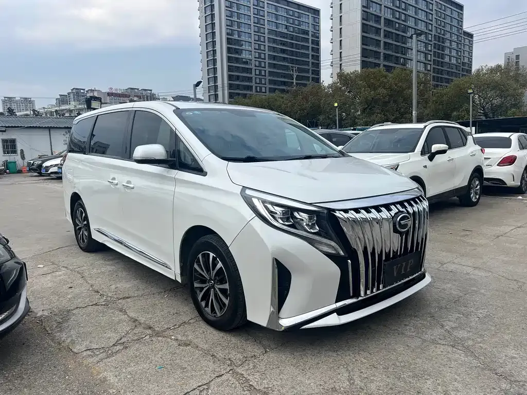 GAC Motor Trumpchi M8 2023 из CN, фото 5
