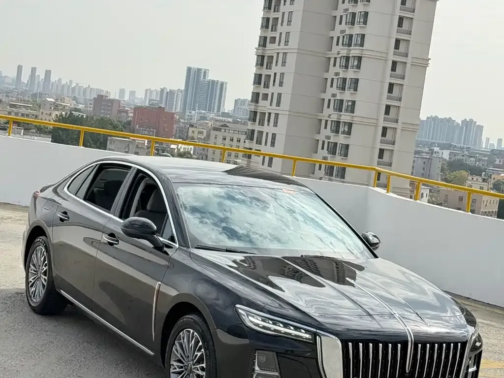 Hongqi H5 2024 из CN, фото 8
