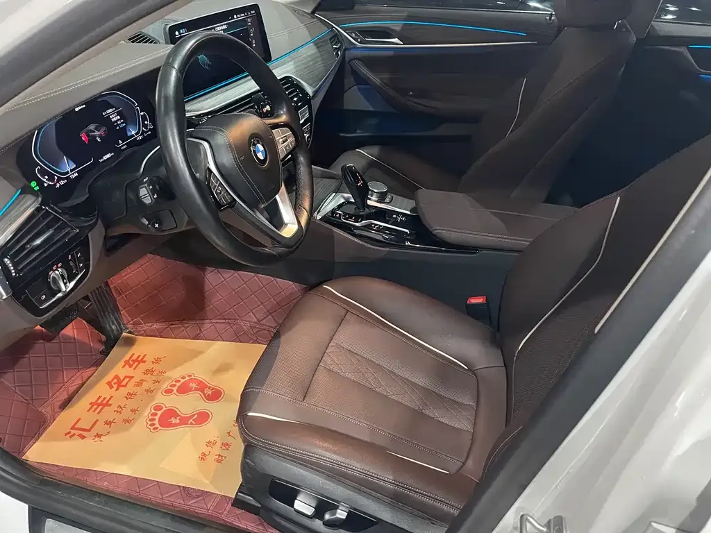 BMW 5 Series New Energy 2021 из CN, фото 10