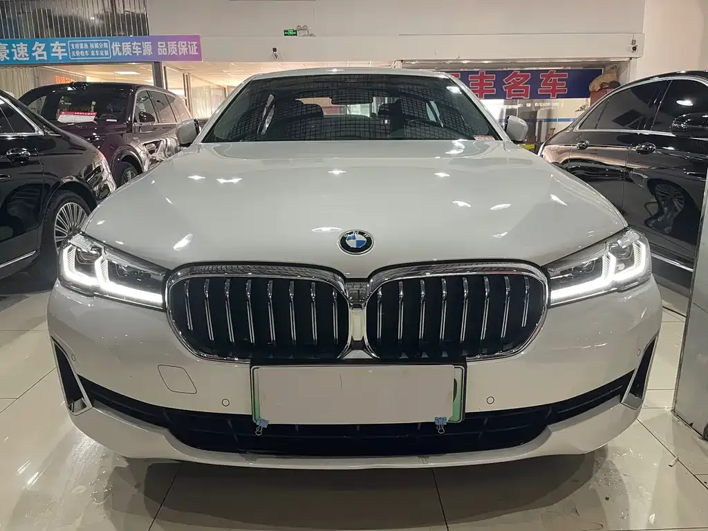 BMW 5 Series New Energy 2021 из CN, фото 8