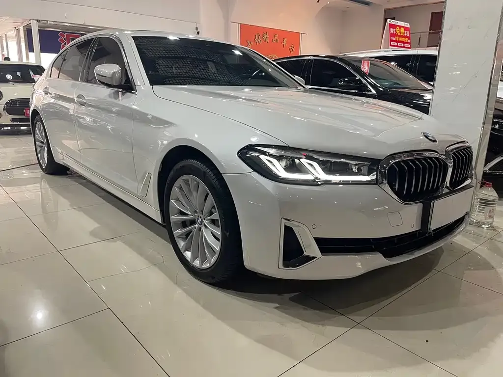 BMW 5 Series New Energy 2021 из CN, фото 3