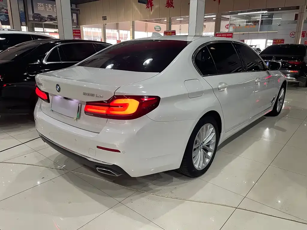 BMW 5 Series New Energy 2021 из CN, фото 6