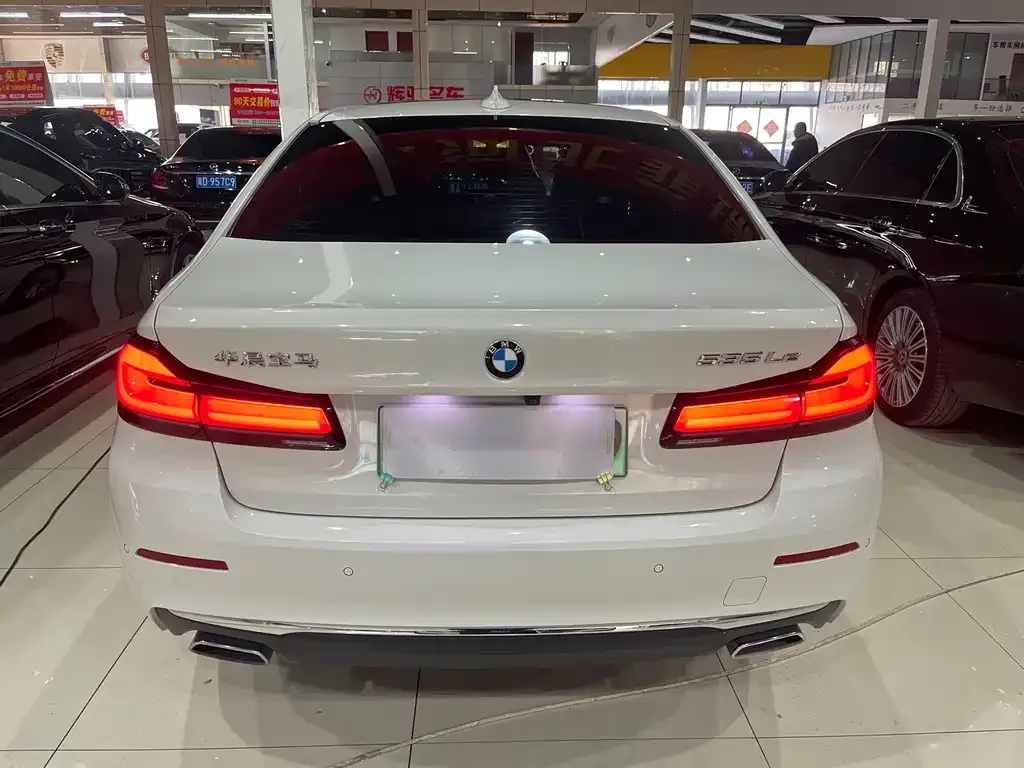 BMW 5 Series New Energy 2021 из CN, фото 2