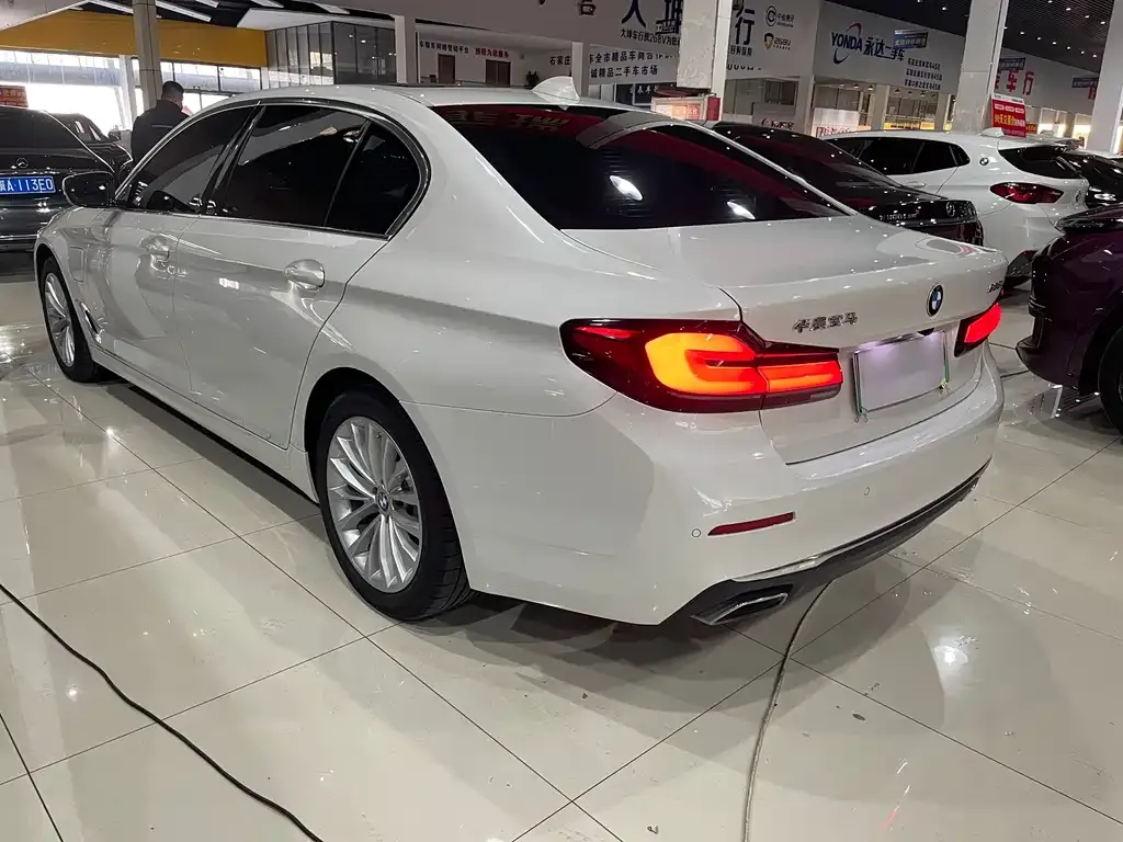 BMW 5 Series New Energy 2021 из CN, фото 9