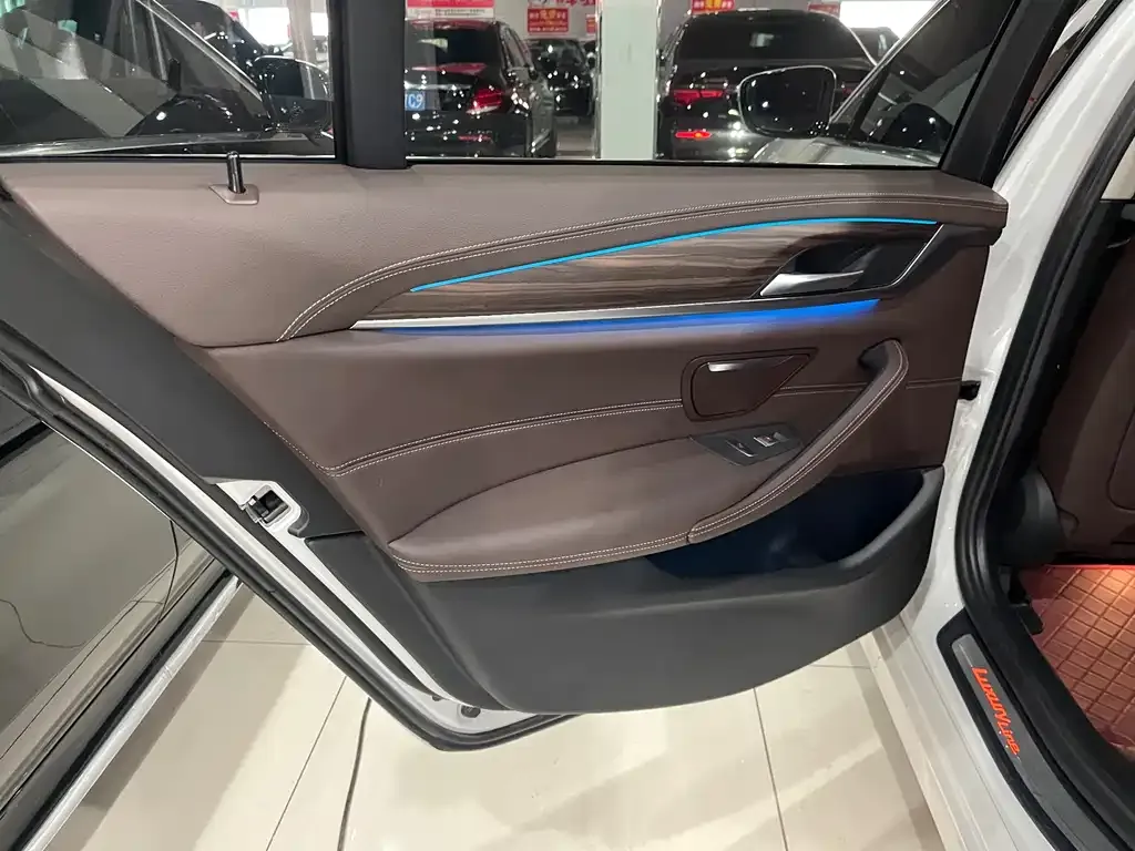 BMW 5 Series New Energy 2021 из CN, фото 4