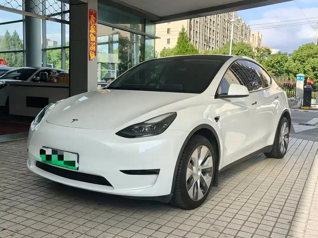 Tesla Model Y 2023 из CN, фото 1
