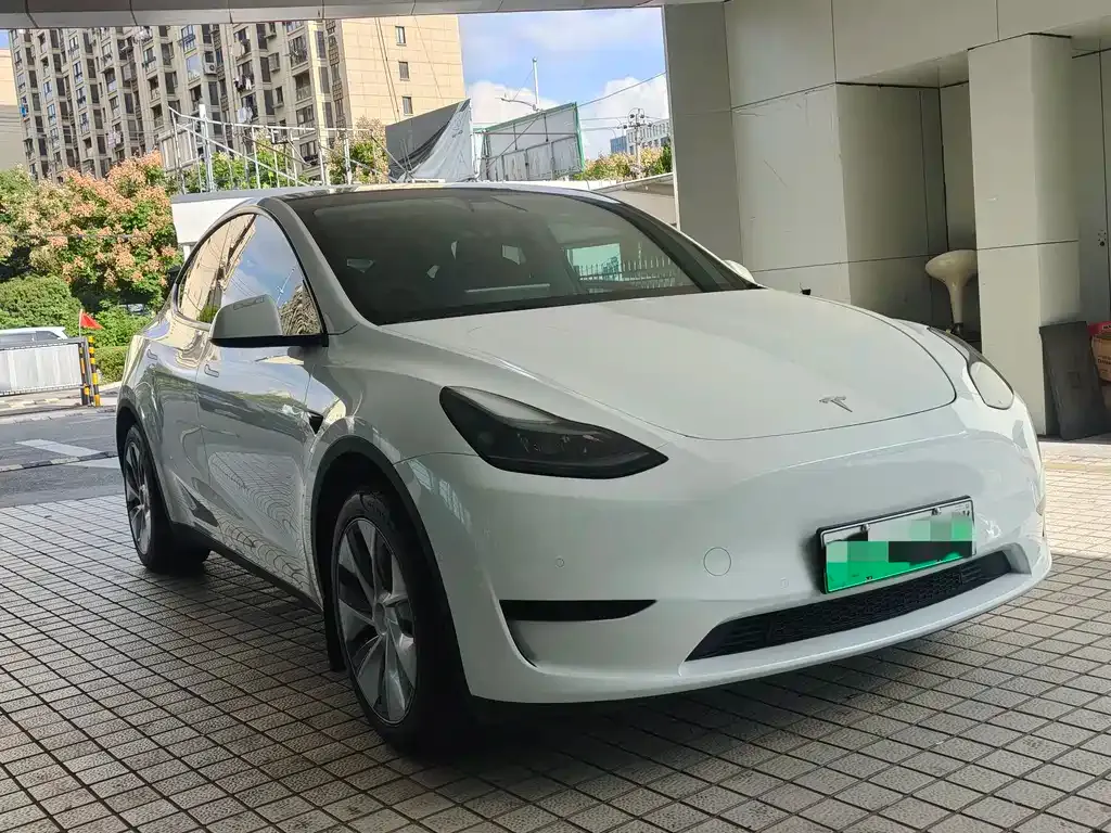 Tesla Model Y 2023 из CN, фото 6