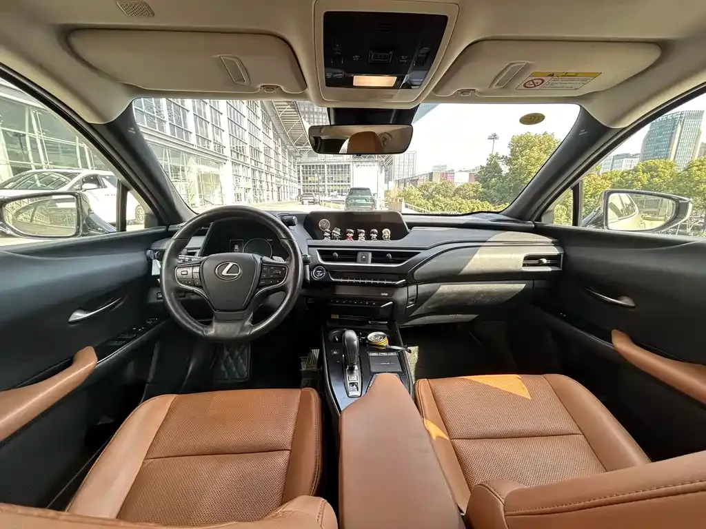 Lexus UX New Energy 2021 из CN, фото 5