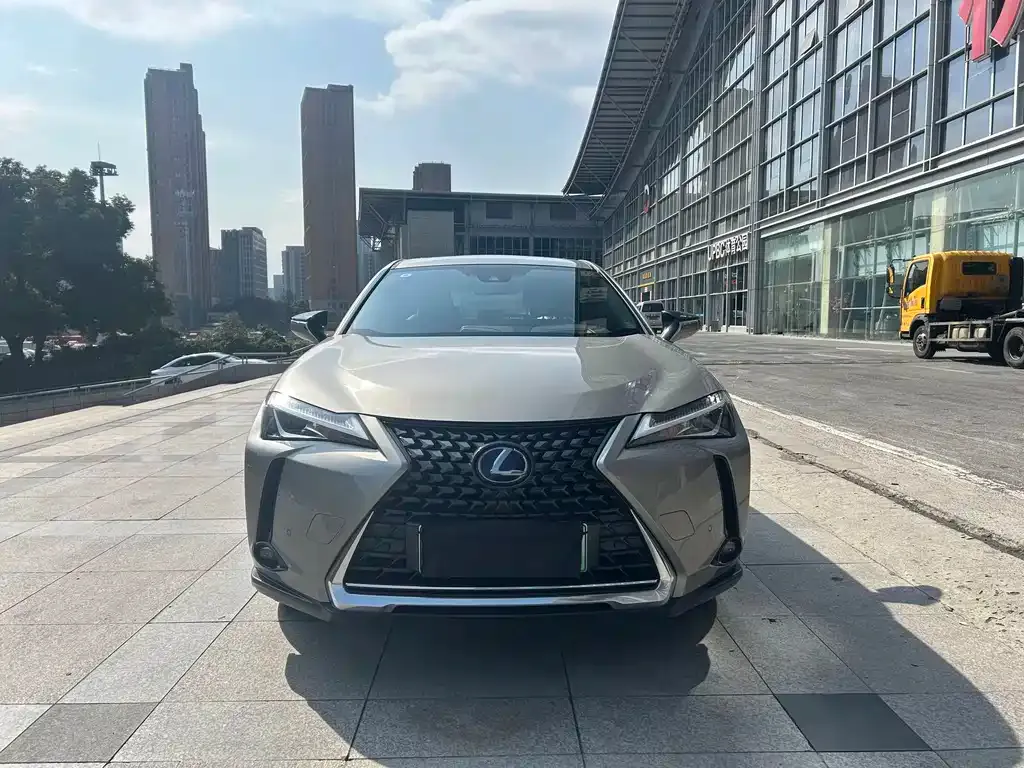 Lexus UX New Energy 2021 из CN, фото 4
