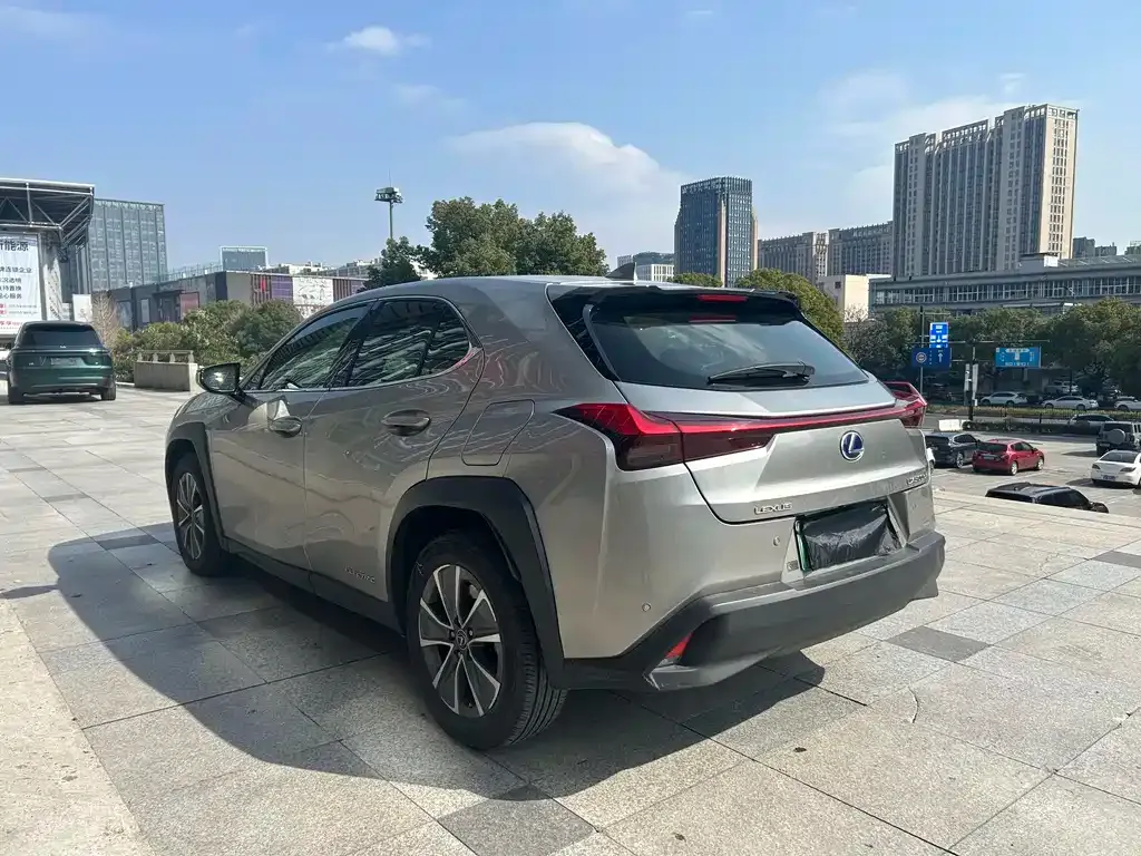 Lexus UX New Energy 2021 из CN, фото 9