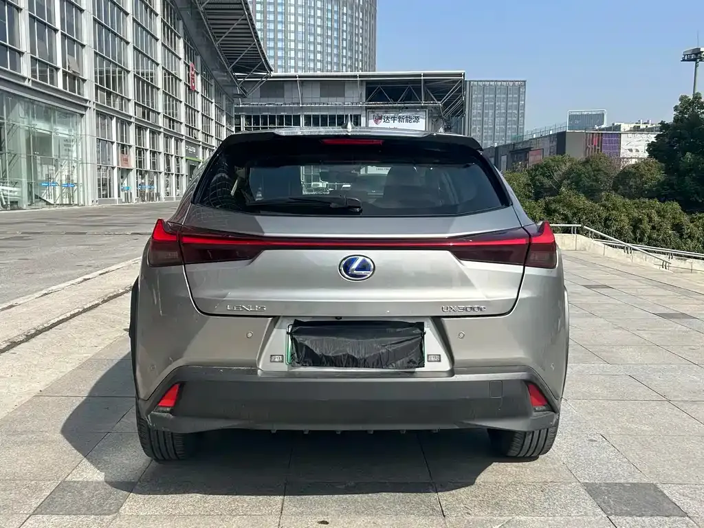 Lexus UX New Energy 2021 из CN, фото 6
