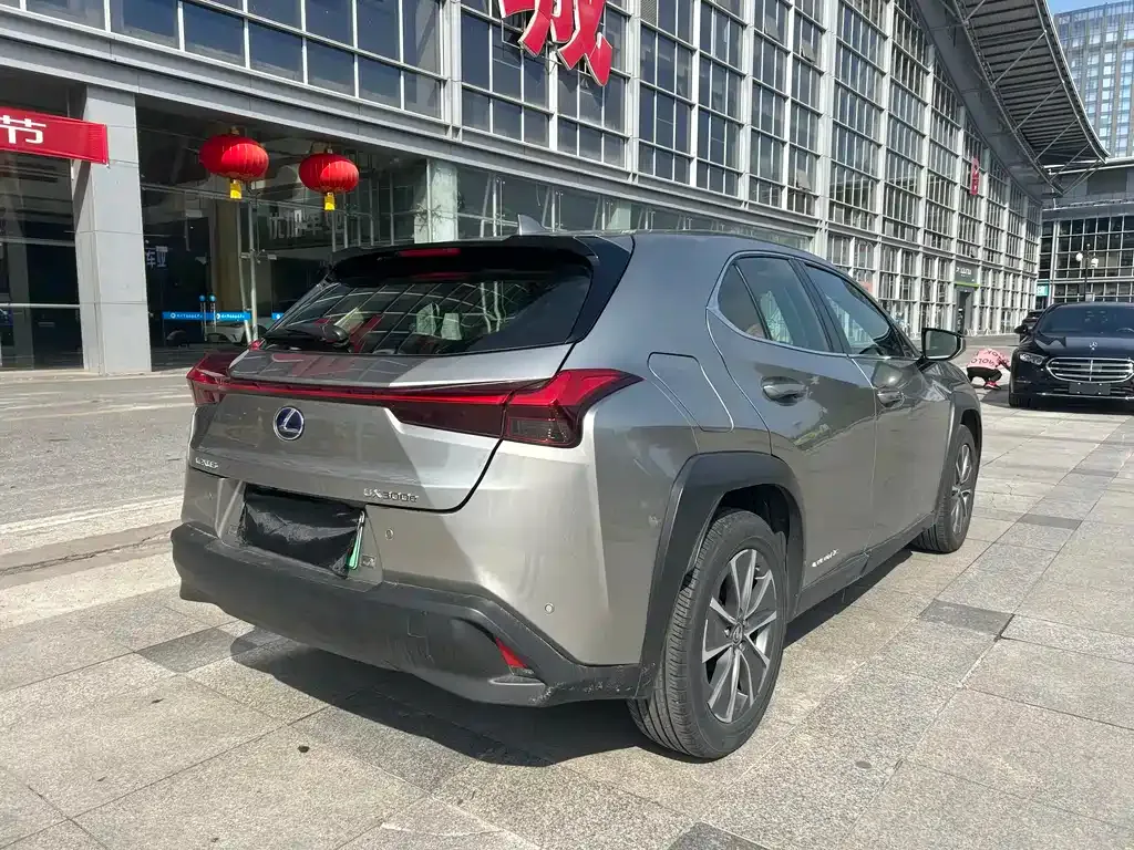 Lexus UX New Energy 2021 из CN, фото 10