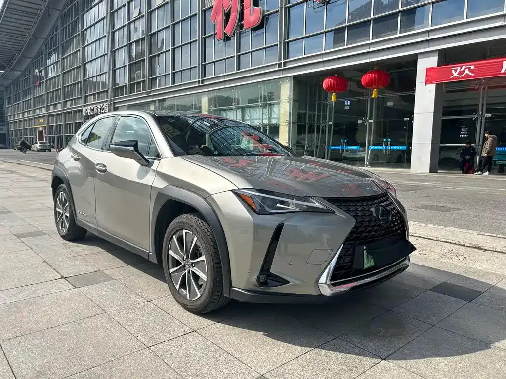 Lexus UX New Energy 2021 из CN, фото 8