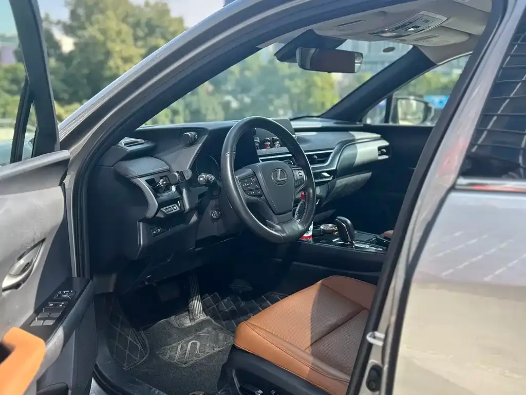 Lexus UX New Energy 2021 из CN, фото 2